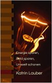 Energie sparen, Geld sparen, Umwelt schonen (eBook, ePUB)