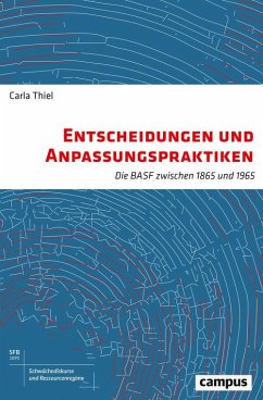 Entscheidungen und Anpassungspraktiken (eBook, PDF) - Thiel, Carla