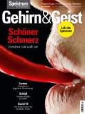 Gehirn&Geist 12/2020 Schöner Schmerz (eBook, PDF)