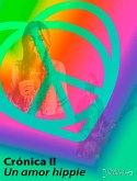 Un amor hippie (eBook, ePUB)