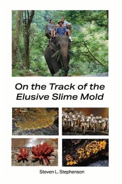On the Track of the Elusive Slime Mold - Stephenson, Steve