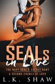SEALs in Love (eBook, ePUB)