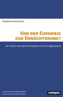 Von der Euphorie zur Ernüchterung? - Holzschuh, Madeleine