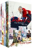 Christmas Dads (Gay Romance Box Set) (eBook, ePUB)