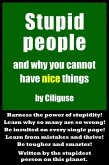 Stupid People and Why You Cannot Have Nice Things (eBook, ePUB)
