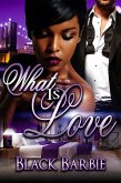 What Is Love (eBook, ePUB)