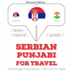 Cover Travel words and phrases in Punjabi (MP3-Download)