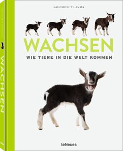 Wachsen - Willemsen, Marlonneke