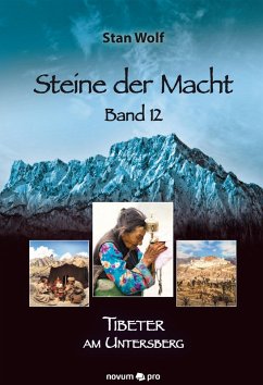 Steine der Macht - Band 12 (eBook, ePUB) - Wolf, Stan