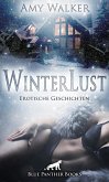 WinterLust   Erotische Geschichten (eBook, ePUB)