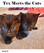 Big Tex & Friends: Tex Meets the Cats... - Bild 1