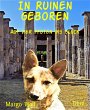 In Ruinen geboren (eBook, ePUB) - Bild 1