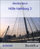Hölle Hamburg 3 (eBook, ePUB)