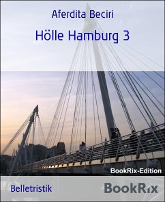 Hölle Hamburg 3 (eBook, ePUB) - Beciri, Aferdita