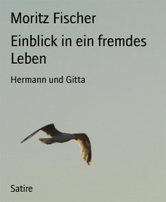 Einblick in ein fremdes Leben (eBook, ePUB) - Fischer, Moritz