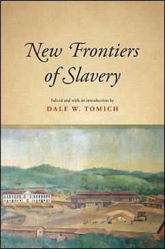 New Frontiers of Slavery (eBook, ePUB)