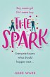 The Spark (eBook, ePUB) - Bild 1
