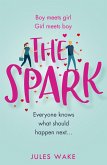 The Spark (eBook, ePUB)