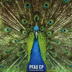 Pfau Ep (Lp) - Von Seiten Der Gemeinde/Da Kessl