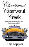 Christmas in Caterwaul Creek (eBook, ePUB)