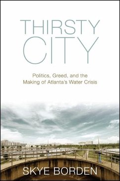 Thirsty City (eBook, ePUB) - Borden, Skye