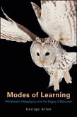Modes of Learning (eBook, ePUB)
