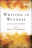 Writing in Witness (eBook, ePUB)