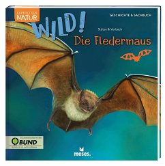 Expedition Natur: WILD! Die Fledermaus - Stütze, Annett;Vorbach, Britta