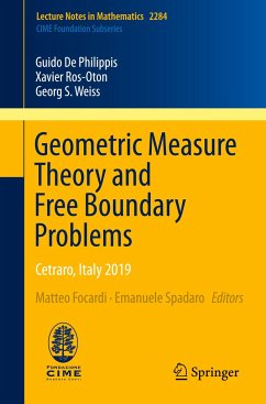 Geometric Measure Theory and Free Boundary Problems - De Philippis, Guido;Ros-Oton, Xavier;Weiss, Georg S.