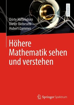 Höhere Mathematik sehen und verstehen - Haftendorn, Dörte;Riebesehl, Dieter;Dammer, Hubert