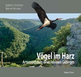 Vögel im Harz