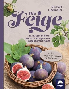 Die Feige - Liedmeier, Norbert