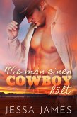 Wie man einen Cowboy hält (eBook, ePUB)