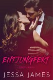 Entjungfert (eBook, ePUB)