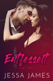 Entfesselt (eBook, ePUB)