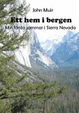 Ett hem i bergen (eBook, ePUB)
