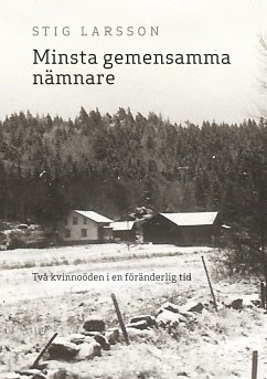 Minsta gemensamma nämnare (eBook, ePUB) - Larsson, Stig