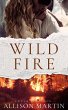 Wildfire (The Stryker Family Saga, #1)... - Bild 1