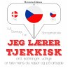Jeg lærer tjekkisk (MP3-Download) - Bild 1