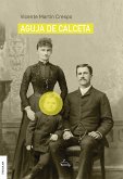 Aguja de calceta (eBook, ePUB)