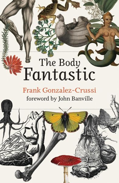 The Body Fantastic (eBook, ePUB)