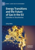 Energy Transitions and the Future of Gas in the EU