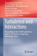 Turbulence and Interactions - Bild 1