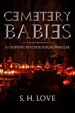 Cemetery Babies (eBook, ePUB)
