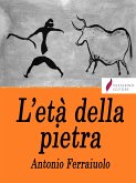 L'età della pietra (eBook, ePUB)