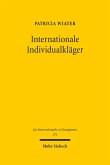 Internationale Individualkläger (eBook, PDF)