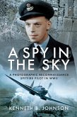 A Spy in the Sky (eBook, ePUB)