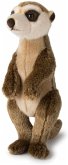 WWF Plüsch 00838 - Erdmännchen, Afrika-Kollektion, Plüschtier, 30 cm