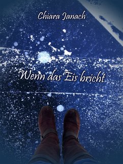 Wenn das Eis bricht (eBook, ePUB)