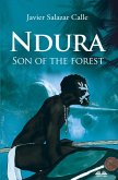 Ndura (eBook, ePUB)